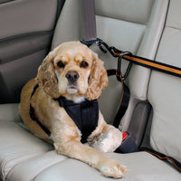 HKM-5792061 Pet Safety Belt – Dual-Purpose Car Traction Lanyard in Orange, Durable Nylon Material