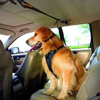 HKM-5792061 Pet Safety Belt – Dual-Purpose Car Traction Lanyard in Orange, Durable Nylon Material