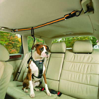 HKM-5792061 Pet Safety Belt – Dual-Purpose Car Traction Lanyard in Orange, Durable Nylon Material