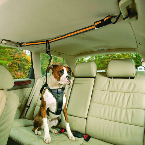 HKM-5792061 Pet Safety Belt – Dual-Purpose Car Traction Lanyard in Orange, Durable Nylon Material