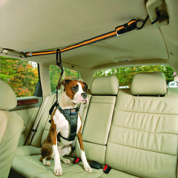 HKM-5792061 Pet Safety Belt – Dual-Purpose Car Traction Lanyard in Orange, Durable Nylon Material