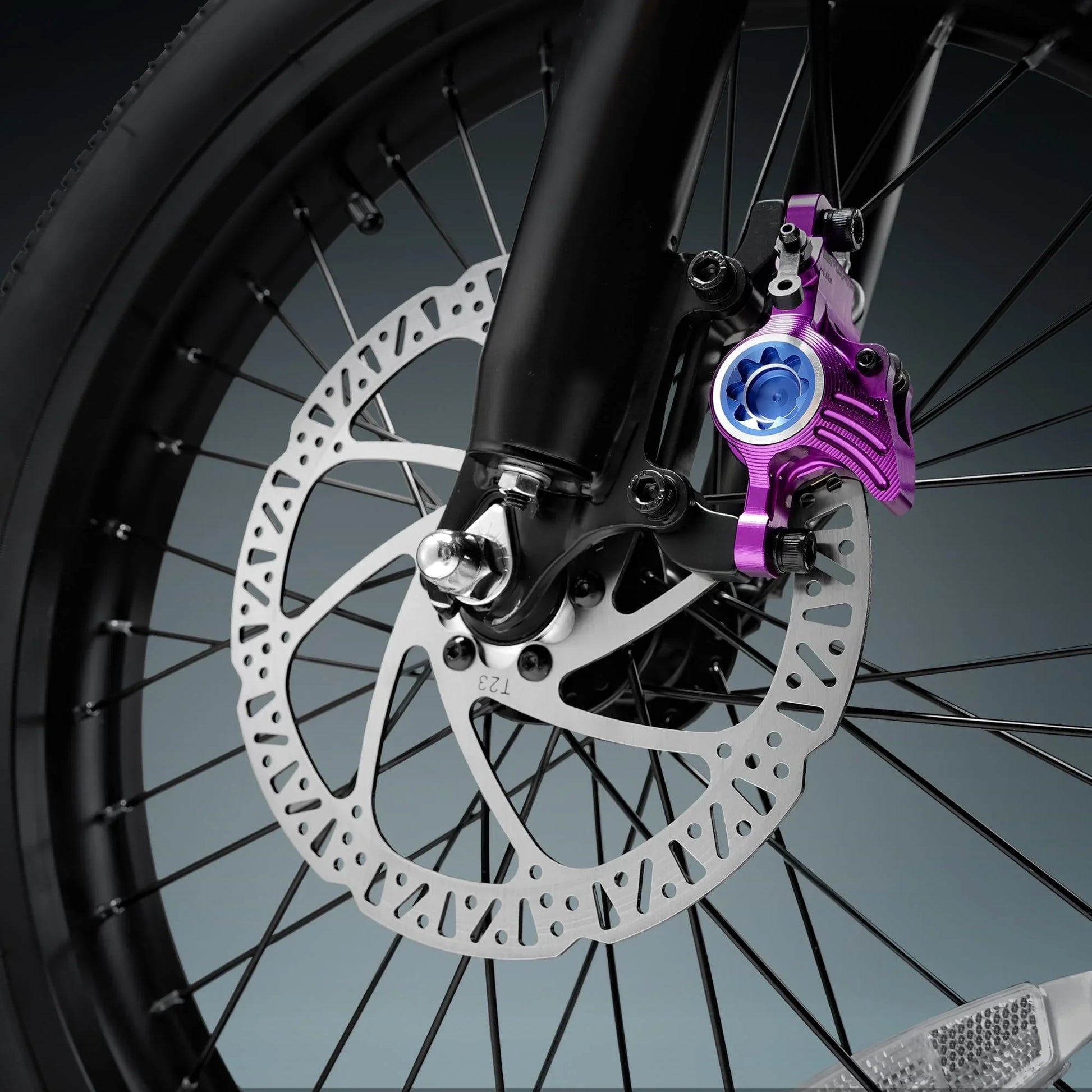 HKM-579347 Eahora Romeo 1000W Electric Mountain Bike with 48V 30Ah Detachable Battery, 7-Speed, 20" Fat Tires