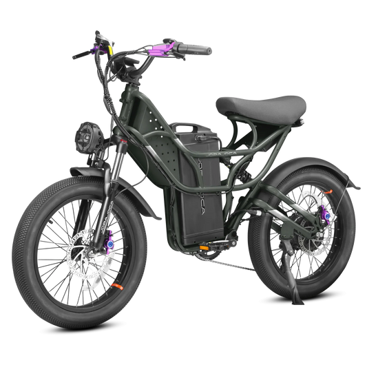 HKM-579347 Eahora Romeo 1000W Electric Mountain Bike with 48V 30Ah Detachable Battery, 7-Speed, 20" Fat Tires