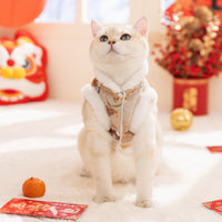 HKM-5793981 Festive Autumn Winter Fleece Two-Legged Coat for Small Dogs and Cats