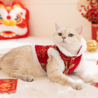 HKM-5793981 Festive Autumn Winter Fleece Two-Legged Coat for Small Dogs and Cats