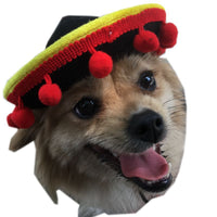 HKM-5794237 Pet Hat with Red Ball and Brown Lace Accent for Dogs