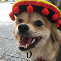 HKM-5794237 Pet Hat with Red Ball and Brown Lace Accent for Dogs