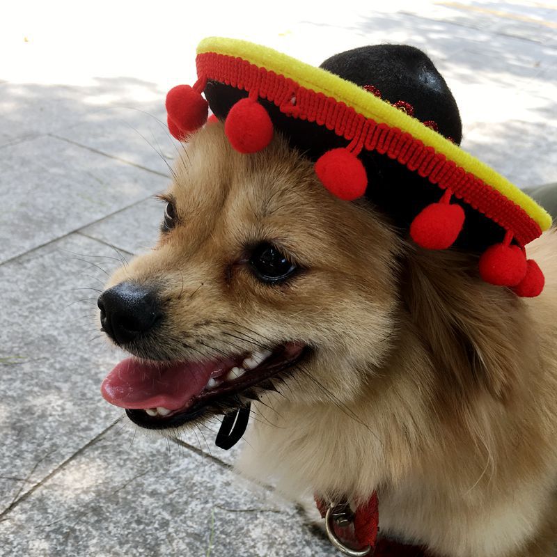 HKM-5794237 Pet Hat with Red Ball and Brown Lace Accent for Dogs