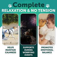 HKM-5795261 Hemp Calming Chews for Dogs - Anxiety Relief Treats with Natural Ingredients for Stress Reduction and Hip Support - 120 Count