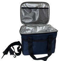 HKM-579603 Insulated Lunch and Picnic Bag for Office and Travel