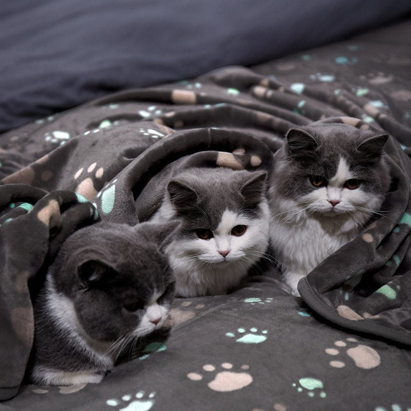 HKM-580371 Flannel Thickened Pet Blanket for Dogs and Cats - Multiple Sizes Available