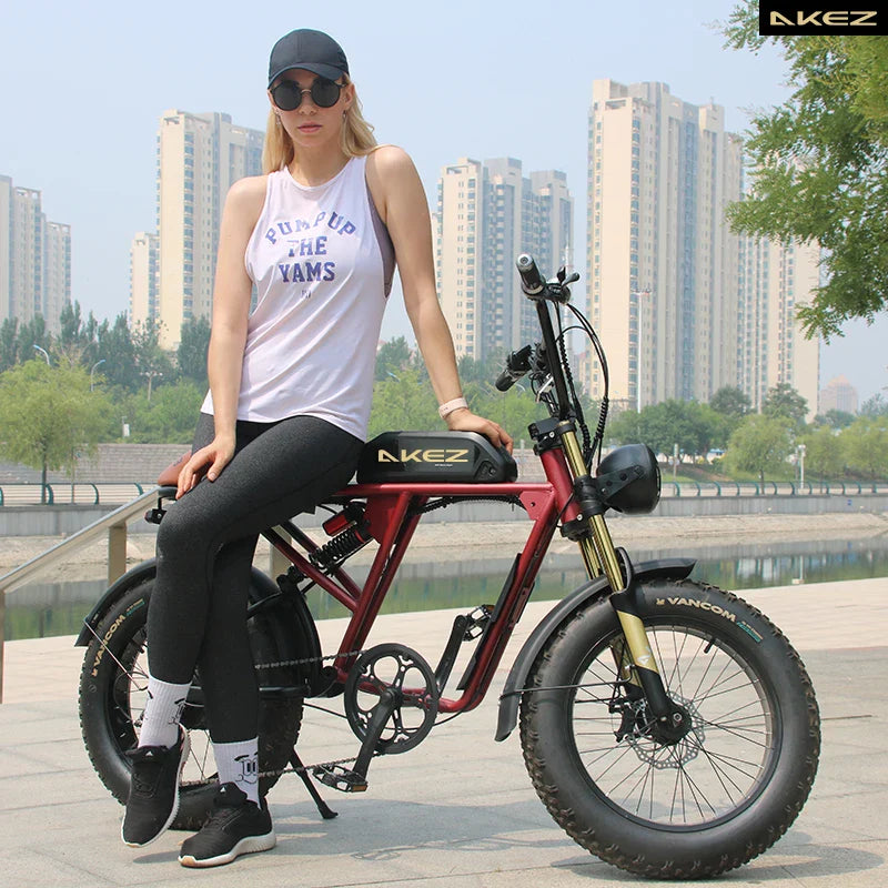 HKM-580499 750W Electric Fat Tire Mountain Bike with Full Suspension, 20" Wheel, Shimano 7-Speed, Rear Hub Motor, 48V Lithium Battery