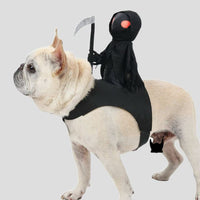 HKM-5805501 Cute Black Harvest Themed Riding Outfit for Pets - Sizes S, M, L - Polyester Material