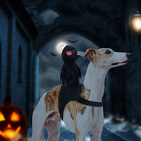 HKM-5805501 Cute Black Harvest Themed Riding Outfit for Pets - Sizes S, M, L - Polyester Material