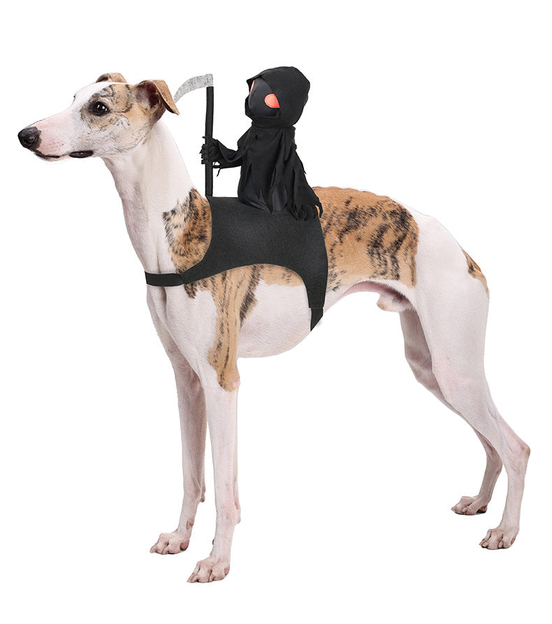HKM-5805501 Cute Black Harvest Themed Riding Outfit for Pets - Sizes S, M, L - Polyester Material