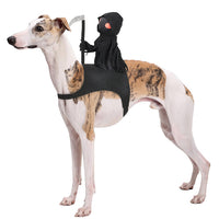 HKM-5805501 Cute Black Harvest Themed Riding Outfit for Pets - Sizes S, M, L - Polyester Material