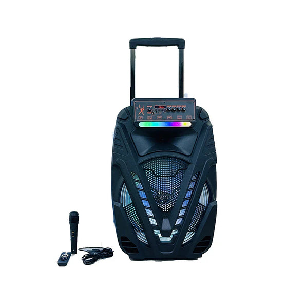 HKM-580563 15 Inch Portable Trolley Speaker with Wireless Sound and Subwoofer
