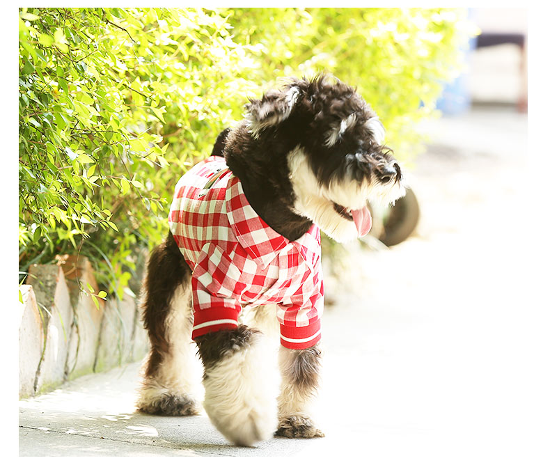 HKM-5807293 Red and White Plaid Cotton Leisure T-Shirt for Summer