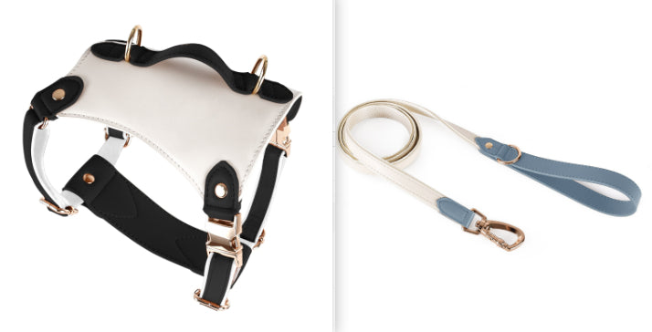 HKM-5809981 Leather Pet Vest with Lead Rope and Adjustable Chest Strap in Various Colors