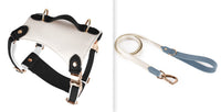 HKM-5809981 Leather Pet Vest with Lead Rope and Adjustable Chest Strap in Various Colors