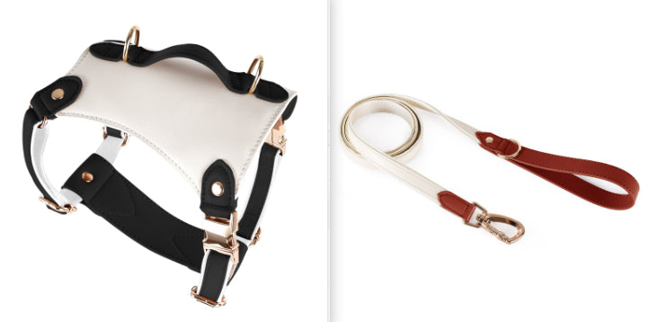 HKM-5809981 Leather Pet Vest with Lead Rope and Adjustable Chest Strap in Various Colors