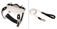 HKM-5809981 Leather Pet Vest with Lead Rope and Adjustable Chest Strap in Various Colors