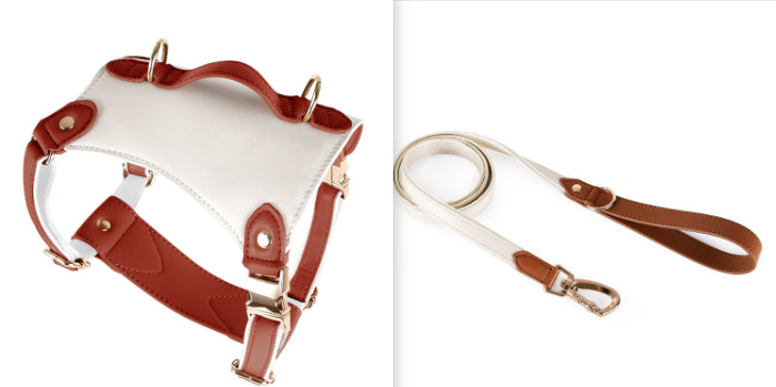 HKM-5809981 Leather Pet Vest with Lead Rope and Adjustable Chest Strap in Various Colors