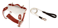 HKM-5809981 Leather Pet Vest with Lead Rope and Adjustable Chest Strap in Various Colors