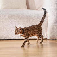HKM-5812669 Laser Cat Collar in Black, Blue, Purple, Green ¨C Casual Design with ABS Material
