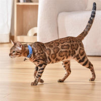 HKM-5812669 Laser Cat Collar in Black, Blue, Purple, Green ¨C Casual Design with ABS Material