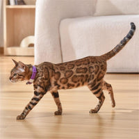 HKM-5812669 Laser Cat Collar in Black, Blue, Purple, Green ¨C Casual Design with ABS Material