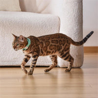 HKM-5812669 Laser Cat Collar in Black, Blue, Purple, Green ¨C Casual Design with ABS Material