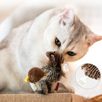 HKM-581331 Simulation Bird Pet Cat Training Scratching Toy