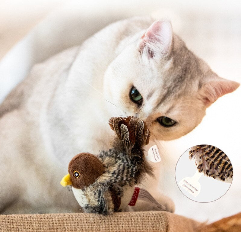 HKM-581331 Simulation Bird Pet Cat Training Scratching Toy