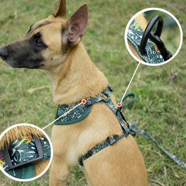 HKM-5815741 Adjustable Pet Harness Set with Leash, Collar, Bow, and Accessories