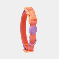 HKM-5818429 Waterproof Nylon Dog Collar with 1.5m Hand Holding Rope in Multiple Colors