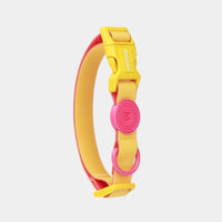 HKM-5818429 Waterproof Nylon Dog Collar with 1.5m Hand Holding Rope in Multiple Colors