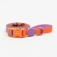 HKM-5818429 Waterproof Nylon Dog Collar with 1.5m Hand Holding Rope in Multiple Colors