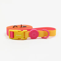 HKM-5818429 Waterproof Nylon Dog Collar with 1.5m Hand Holding Rope in Multiple Colors