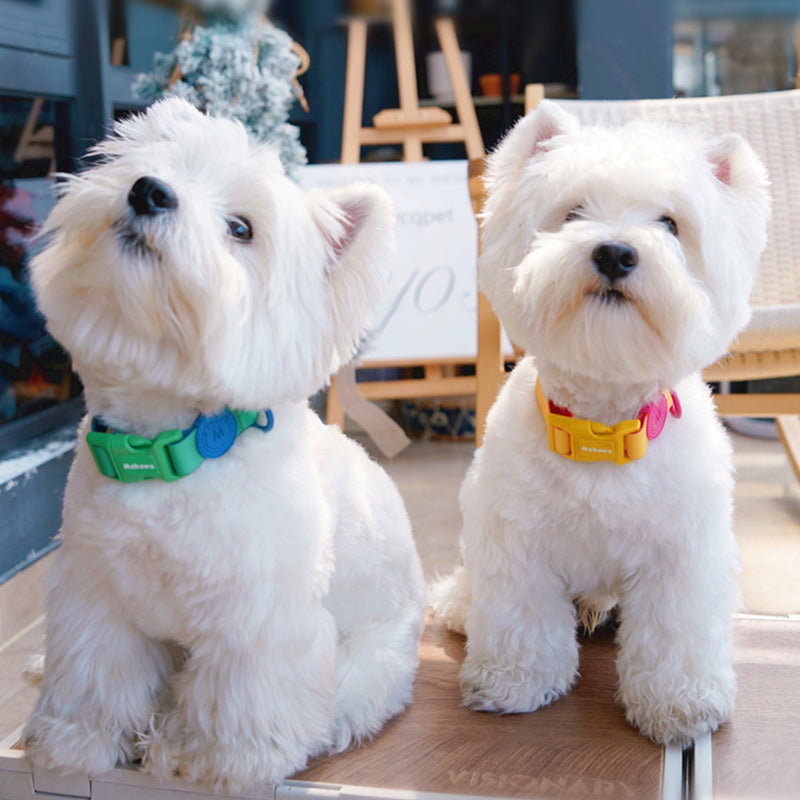 HKM-5818429 Waterproof Nylon Dog Collar with 1.5m Hand Holding Rope in Multiple Colors