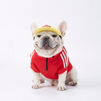 HKM-5820605 Cozy Polyester Dog Sweater with Size Options for All Breeds