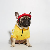HKM-5820605 Cozy Polyester Dog Sweater with Size Options for All Breeds