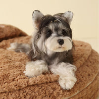 HKM-5822269 Universal Dog Kennel Mat - Polyester Pillow in Bear Print - Available in 50cm, 60cm, 80cm Diameters