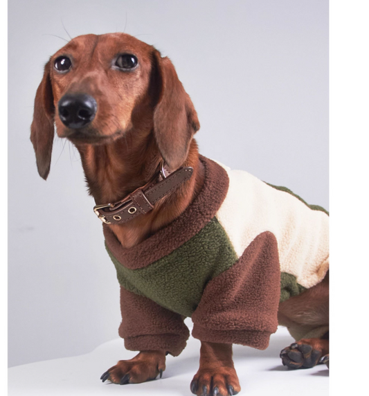 HKM-5826749 Thermal Grain Velvet Pet Clothing for Dogs and Cats ¨C Warm Casual Outfit for Daily Use
