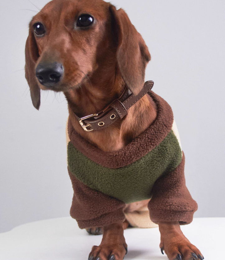 HKM-5826749 Thermal Grain Velvet Pet Clothing for Dogs and Cats ¨C Warm Casual Outfit for Daily Use