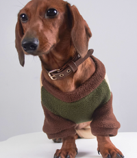 HKM-5826749 Thermal Grain Velvet Pet Clothing for Dogs and Cats ¨C Warm Casual Outfit for Daily Use