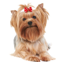 HKM-5827005 Flower Dog and Cat Hair Bow Rubber Band Scrunchie Accessories - 3-4cm, Pack of 50