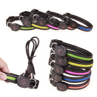 HKM-5829949 Luminous Dog Collar with Adjustable Lengths (S: 28CM-40CM, M: 33CM-50CM, L: 38CM-60CM)