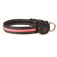HKM-5829949 Luminous Dog Collar with Adjustable Lengths (S: 28CM-40CM, M: 33CM-50CM, L: 38CM-60CM)