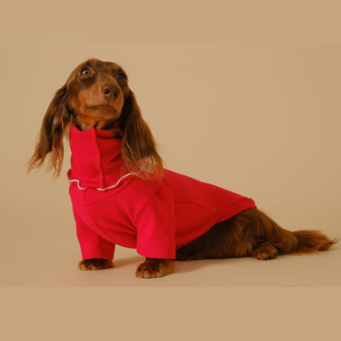 HKM-5830333 Casual Four-Legged Pet Coat for Dachshunds - Available in Red, Gray, Green, Silver